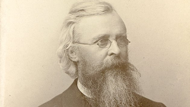 Schulek Frigyes