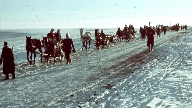 Magyar honvédek