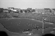 Magyarország-Szovjetunió (1:1) válogatott labdarúgó mérkőzés, 1955. szeptember 25.