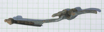 A fibula