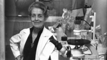 Rita-Levi Montalcini