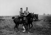 Ferenc Ferdinándot Rudolf 1889-es öngyilkossága után tekintették a trón várományosának, ám sokáig úgy tűnt, tüdőbaja miatt sohasem kerülhet a fejére a korona