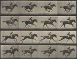 Muybridge lovas fotósorozata