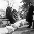 Húsvéti ételszentelésre várakozók a porcsalmai Istenszülő oltalma görögkatolikus templom kertjében, 1976. (Fortepan/Bencze László)