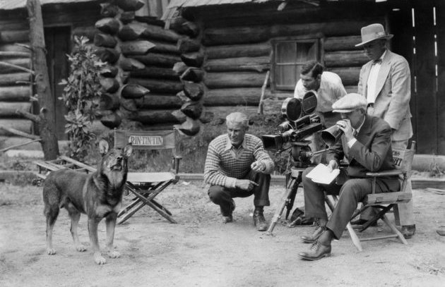 rin-tin-tin