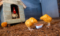 Chicken Nuggets <br /><i>AFP</i>