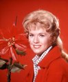 Connie Stevens