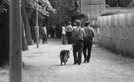 1980, Siófok, az Omega - LGT - Beatrice közös koncertje