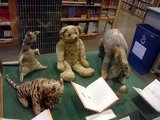 A. A. Milne fia, Christopher Robin eredeti plüssállatai: Tigris, Kanga, Micimackó, Füles és Malacka. Zsebibaba is az eredeti játékok közé tartozott, ő azonban az 1930-as években egy sussexi gyümölcsösben elveszett. Nyuszi és Bagoly nem plüssállatokon alapultak, míg Ürge a Disney-féle adaptáció újítása volt. (kép forrása: Wikimedia Commons)